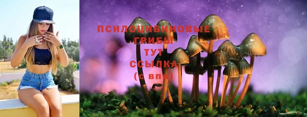 индика Тында