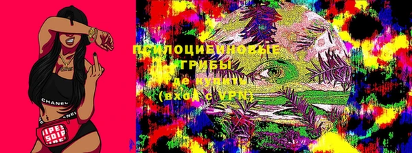 2c-b Бугульма
