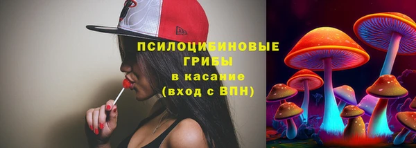 spice Гвардейск