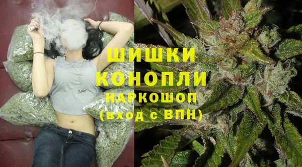 дмт Бронницы