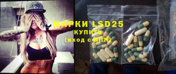 spice Гвардейск